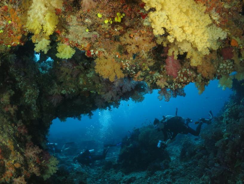 Taveuni Dive Resort Waiyevo Eksteriør billede